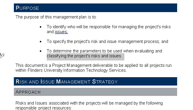 🟦 Risk and Issue Management Procedure _ Word ⭐⭐⭐⭐⭐