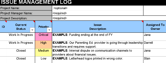 🟦 Issues Management Form - Excel  ⭐️⭐️⭐️⭐️⭐️
