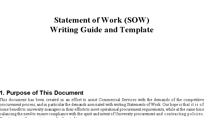 📄 STATEMENT OF WORK (SOW) – WORD  ⭐️⭐️⭐️⭐️⭐️