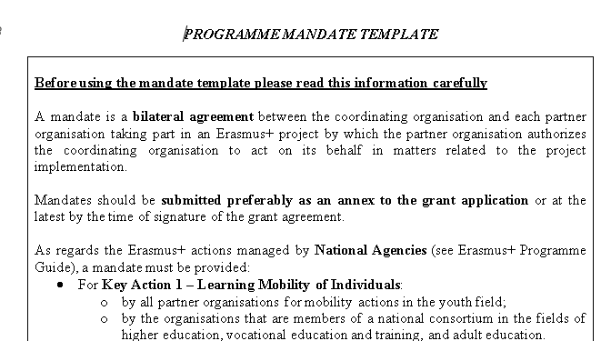 📄 PROGRAMME MANDATE TEMPLATE – WORD ⭐️⭐️⭐️⭐️⭐️