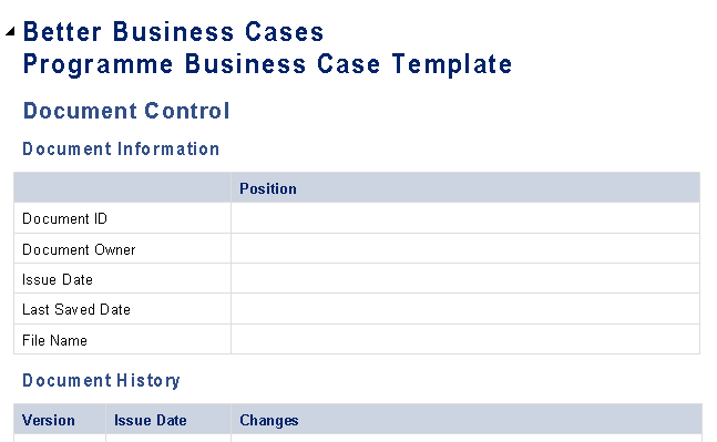 📄 PROGRAMME BUSINESS CASE – WORD ⭐️⭐️⭐️⭐️⭐️