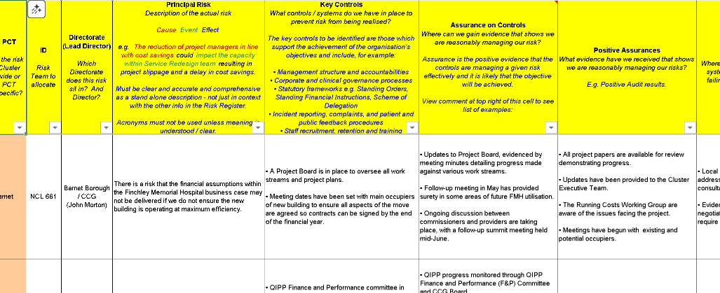 📊 BCCG APPENDIX – RISK REGISTER - EXCEL ⭐️⭐️⭐️⭐️⭐️