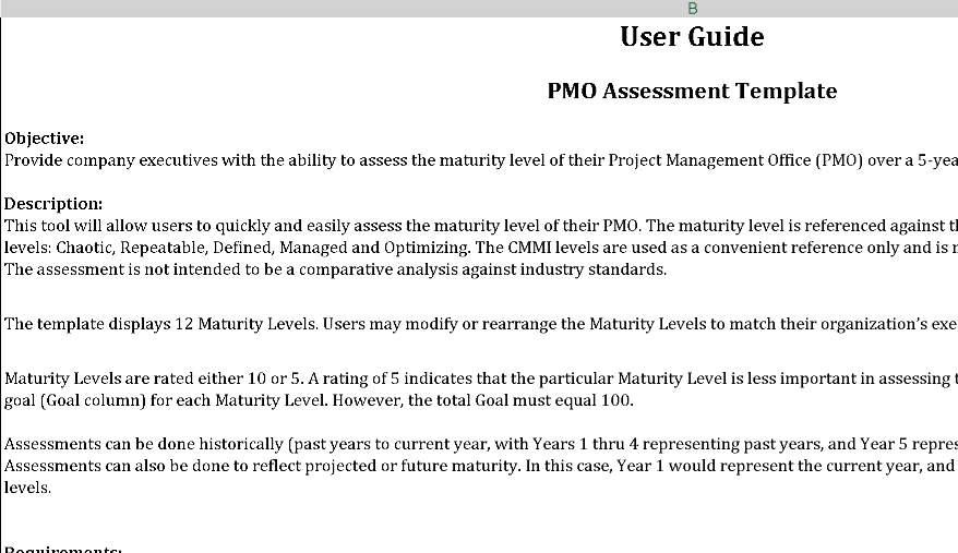 📊 PMO MATURITY ASSESSMENT – EXCEL ⭐️⭐️⭐️⭐️⭐️