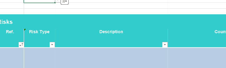 🗒️ Risk Log Template (Excel) ⭐️⭐️⭐️⭐️⭐️