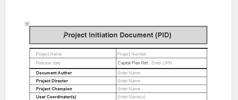 ⭐️Project Initiation Document (PID) – Word ⭐️⭐️⭐️⭐️⭐️