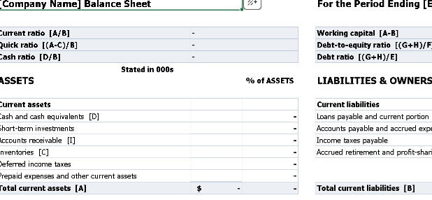 Balance Sheet with Financial Ratios – Excel ⭐⭐⭐⭐⭐