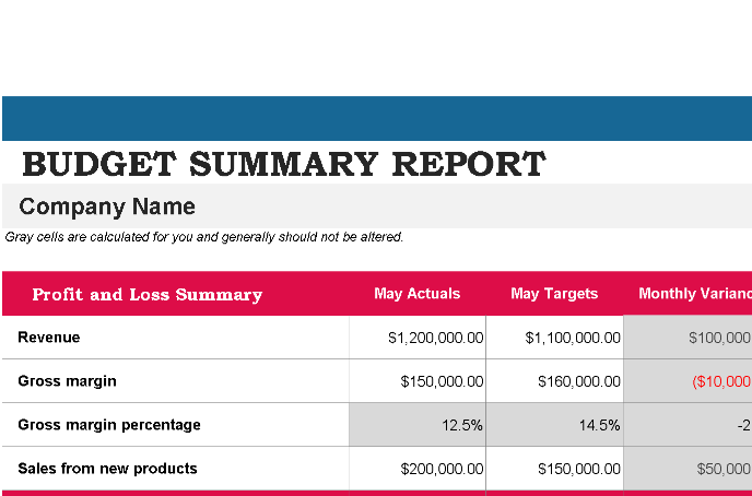 Budget Summary Report – Excel ⭐⭐⭐⭐⭐