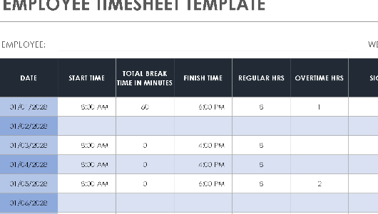 📊 EMPLOYEE TIMESHEET TEMPLATE (.XLSX) ⭐⭐⭐⭐⭐