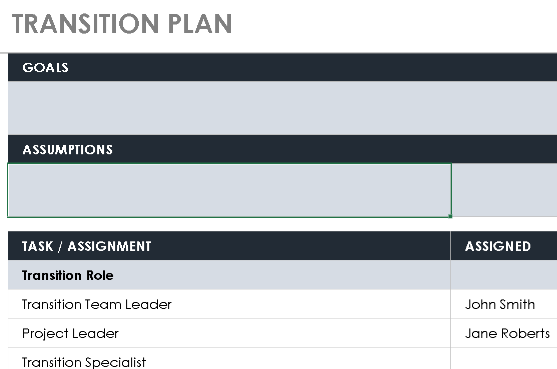 📊 TRANSITION PLAN TEMPLATE — EXCEL VERSION 1.0 ⭐⭐⭐⭐⭐