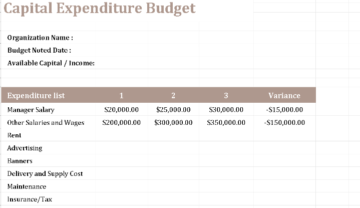 CAPITAL EXPENDITURE BUDGET TEMPLATE (EXCEL) ⭐️⭐️⭐️⭐️⭐️