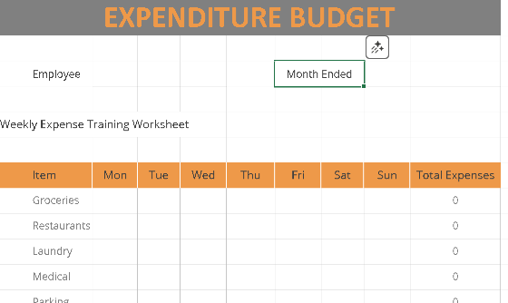 📊 EXPENDITURE BUDGET TEMPLATE Excel Spreadsheet ⭐⭐⭐⭐⭐ (5.0)